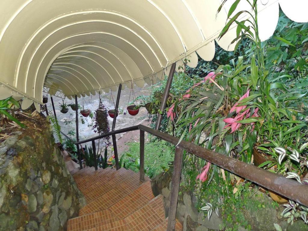 Mountain Lodge And Restaurant Baguio City Exteriör bild
